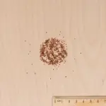 Potagères - Fraisier 4 saisons Suprême - MEDIA_3D